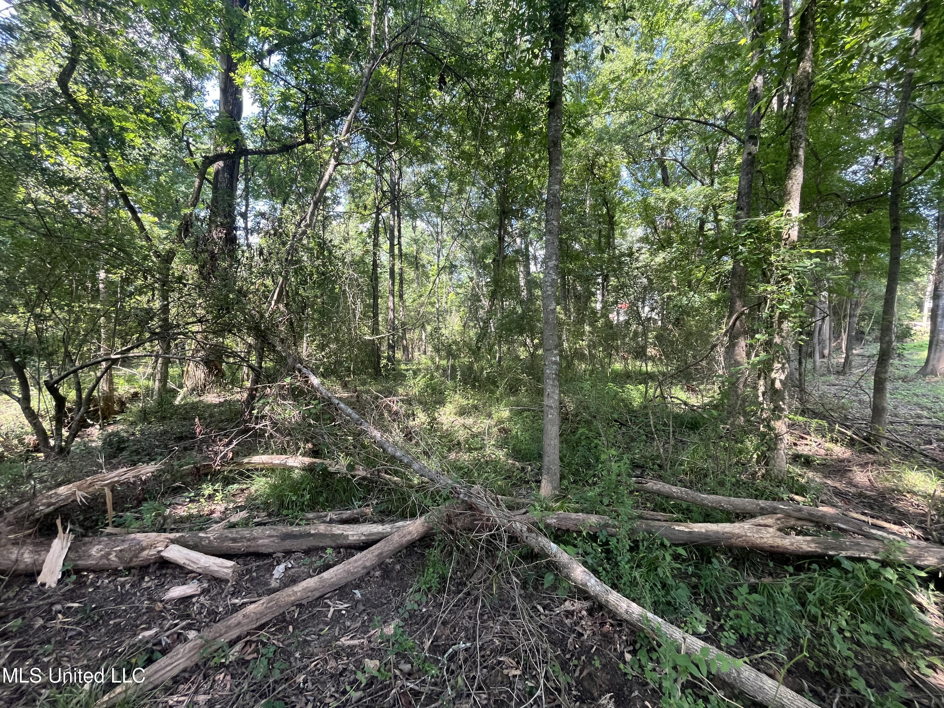 0 West Sunset Drive Brandon, MS 39042 - Photo 7 of 22 IMG_6950