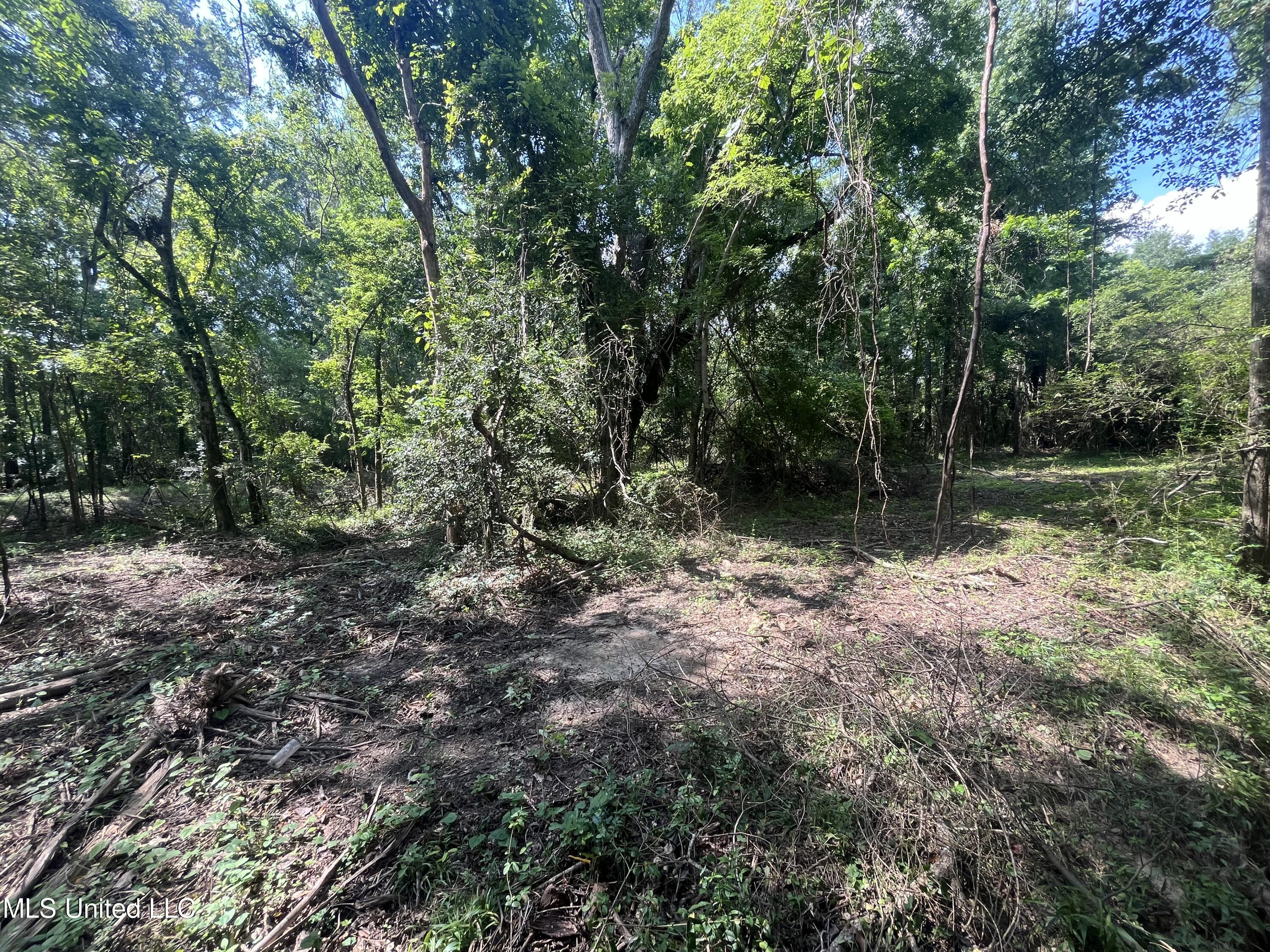 0 West Sunset Drive Brandon, MS 39042 - Photo 8 of 22 IMG_6951