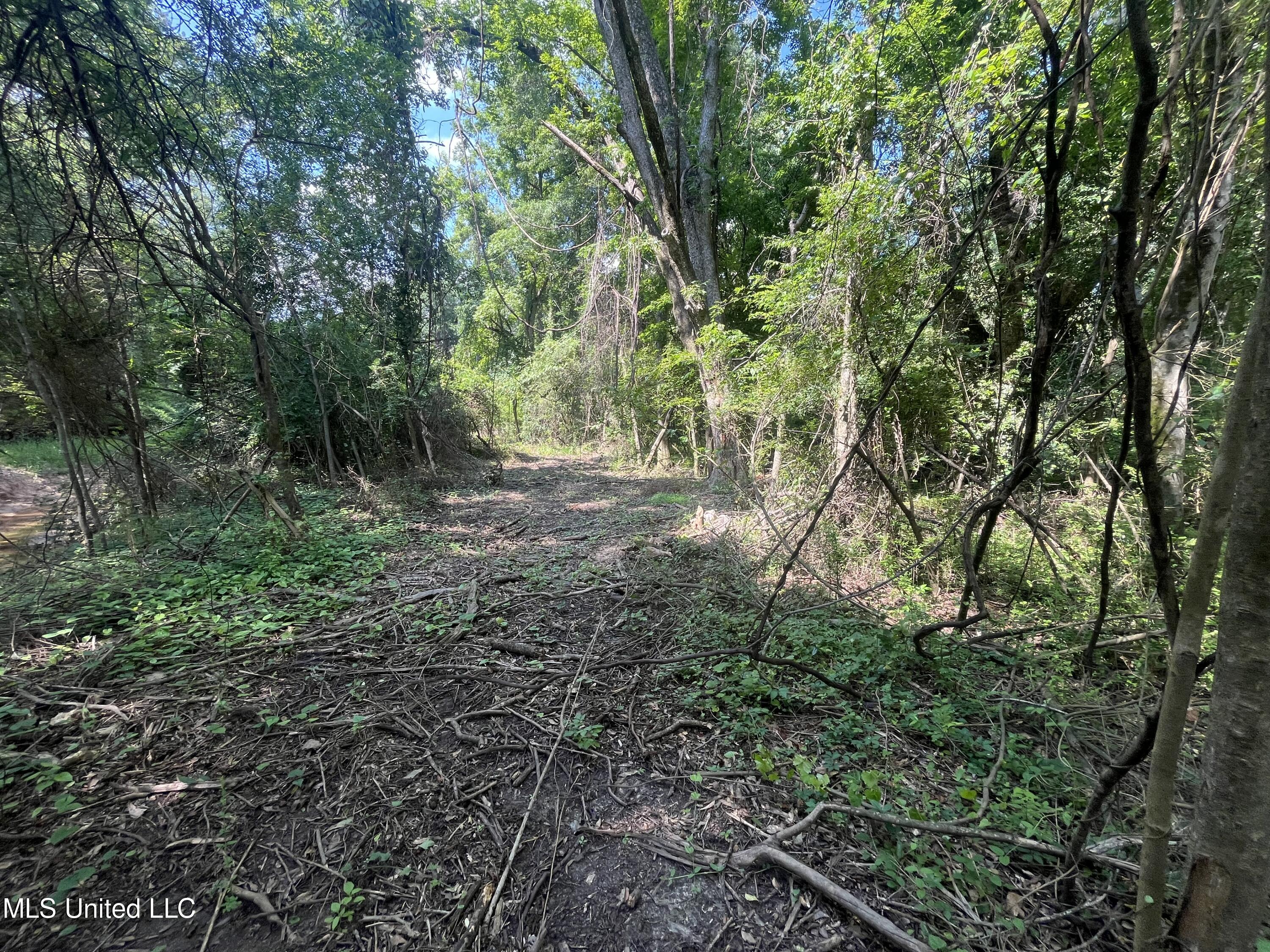 0 West Sunset Drive Brandon, MS 39042 - Photo 9 of 22 IMG_6952