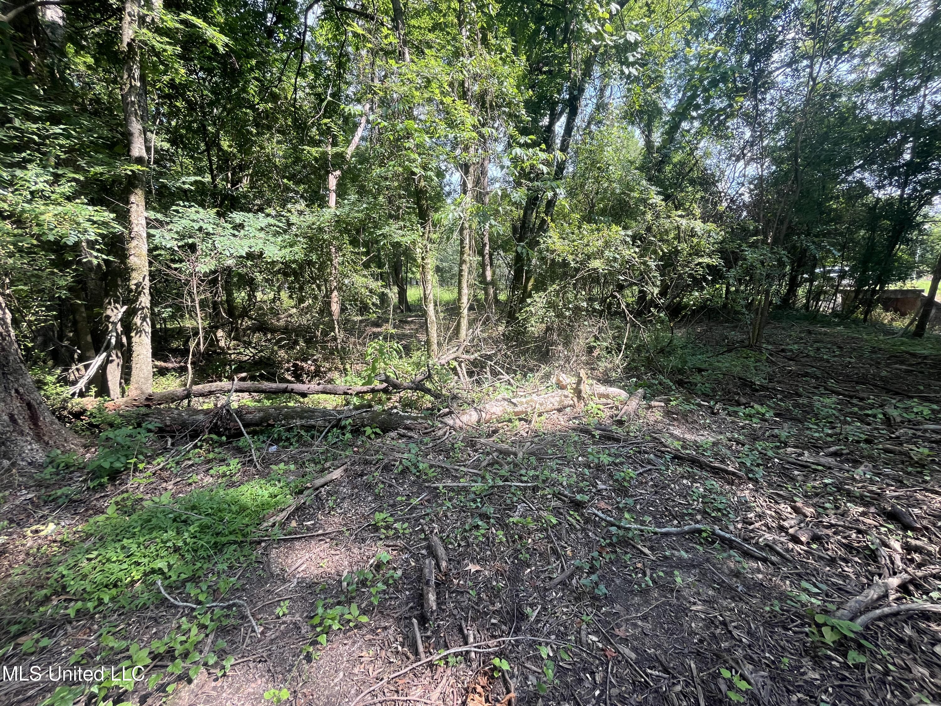 0 West Sunset Drive Brandon, MS 39042 - Photo 10 of 22 IMG_6953