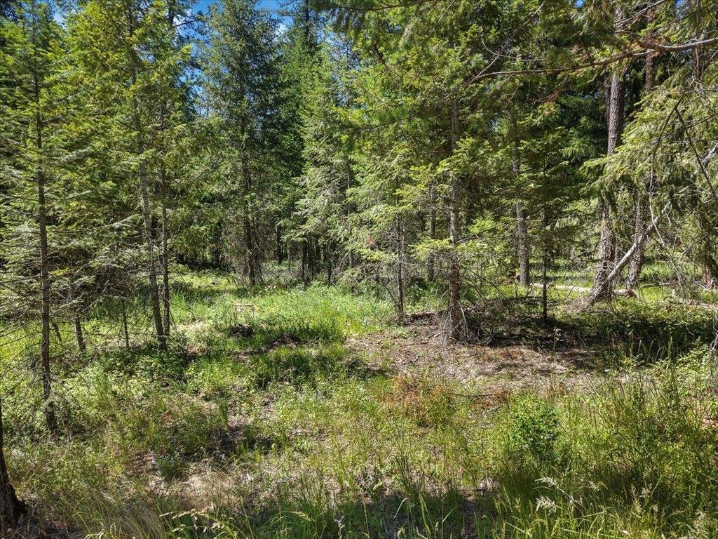 305-xx North Cleveland Road Deer Park, WA 99006 - Photo 7 of 15