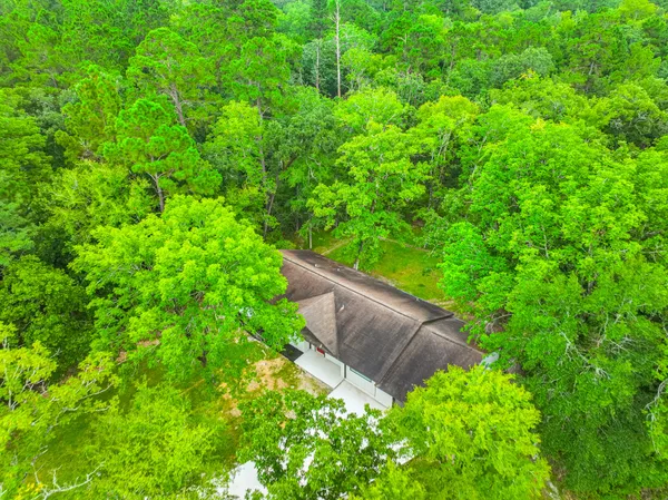 a view of a garden with plants