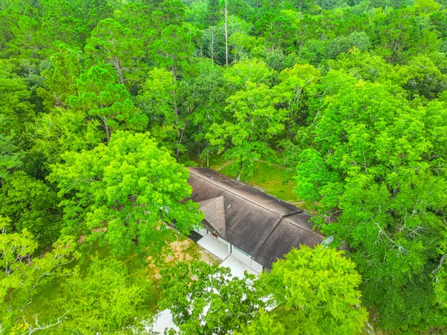 a view of a garden with plants