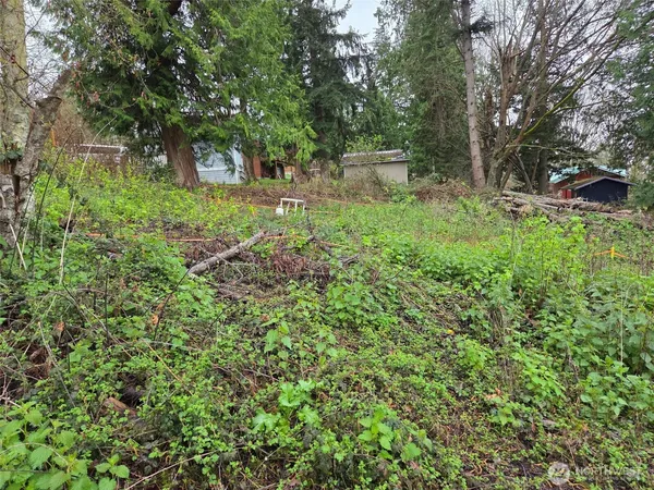 $35,000 | 61 M Cascade Drive, Hat Island, WA 98201