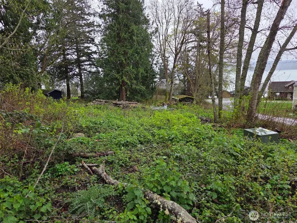 $35,000 | 61 M Cascade Drive, Hat Island, WA 98201