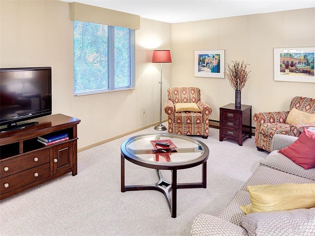 5000 5th, Unit 101 Pittsburgh, PA 15232 - Photo 34 of 38 Guest suite living room has a fold-out sofa bed.