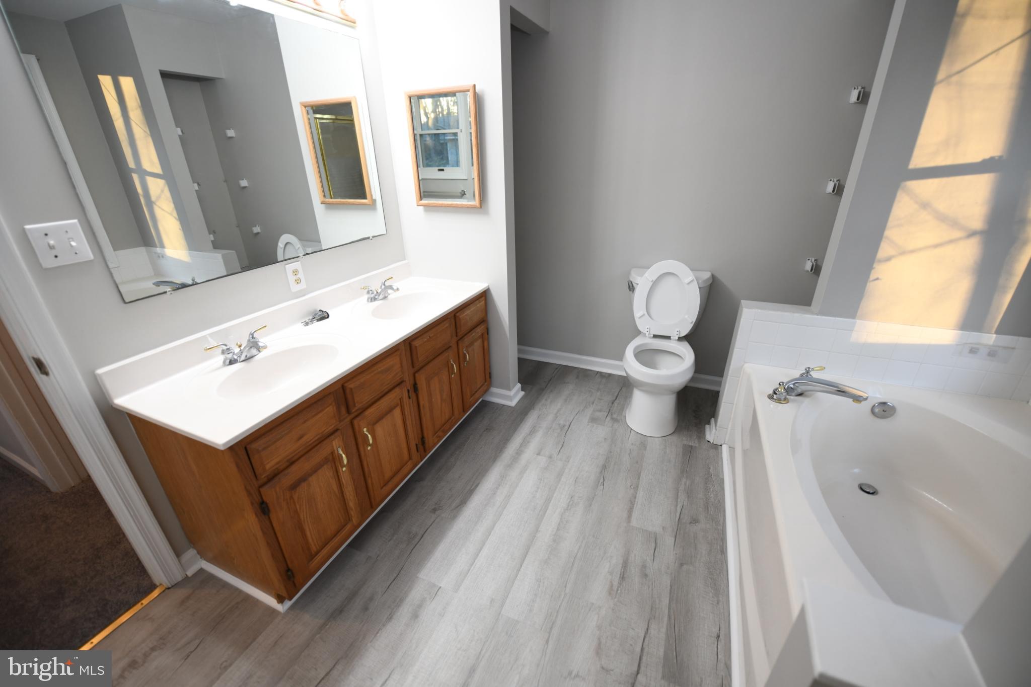 20503 Chestnut Ridge Drive Leonardtown, MD 20650 - Photo 23 of 36 a bathroom with a sink a toilet and a mirror