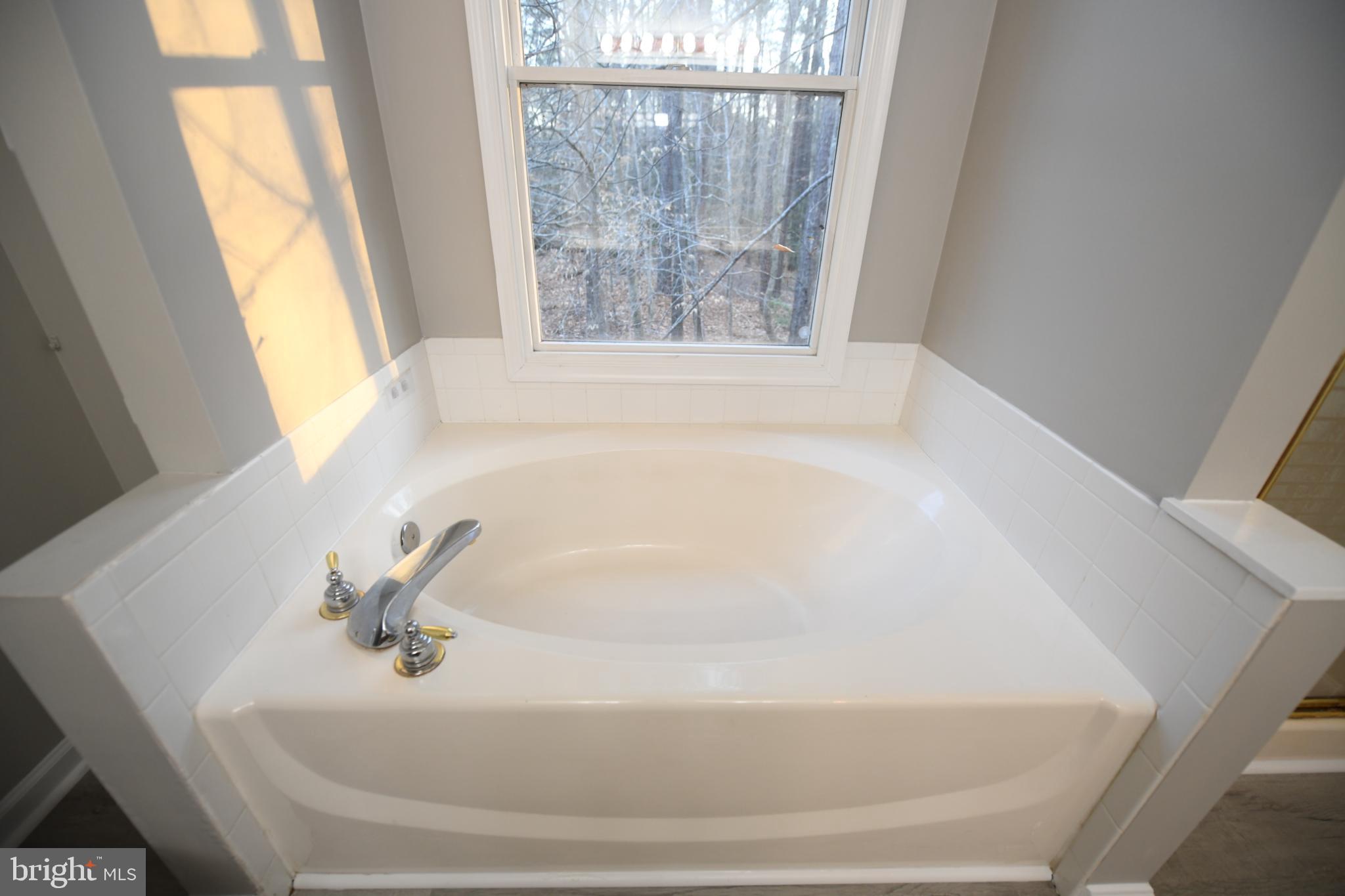 20503 Chestnut Ridge Drive Leonardtown, MD 20650 - Photo 24 of 36 a white bath tub sitting in a bathroom next to a window