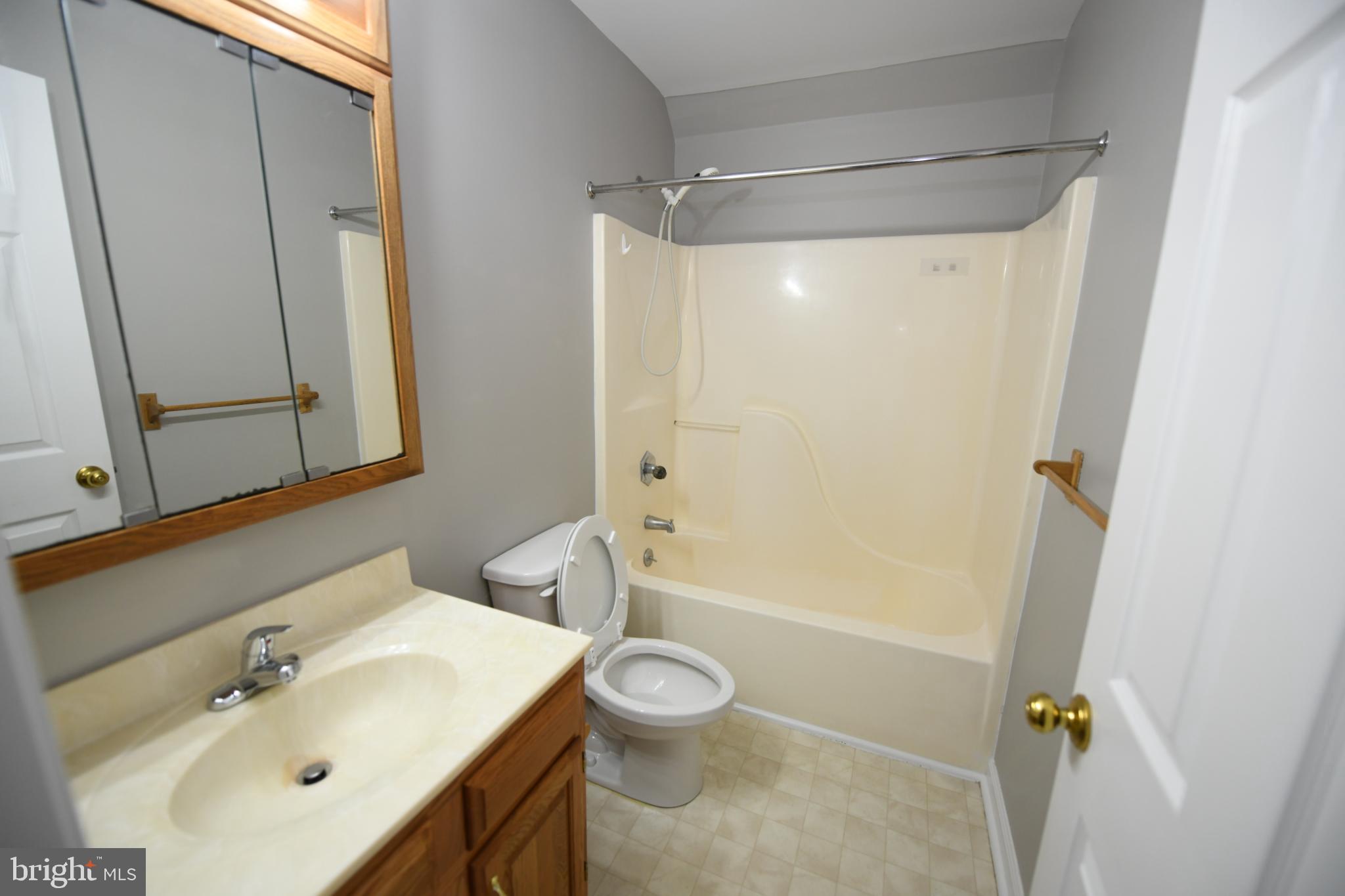 20503 Chestnut Ridge Drive Leonardtown, MD 20650 - Photo 29 of 36 a bathroom with a sink a toilet and shower