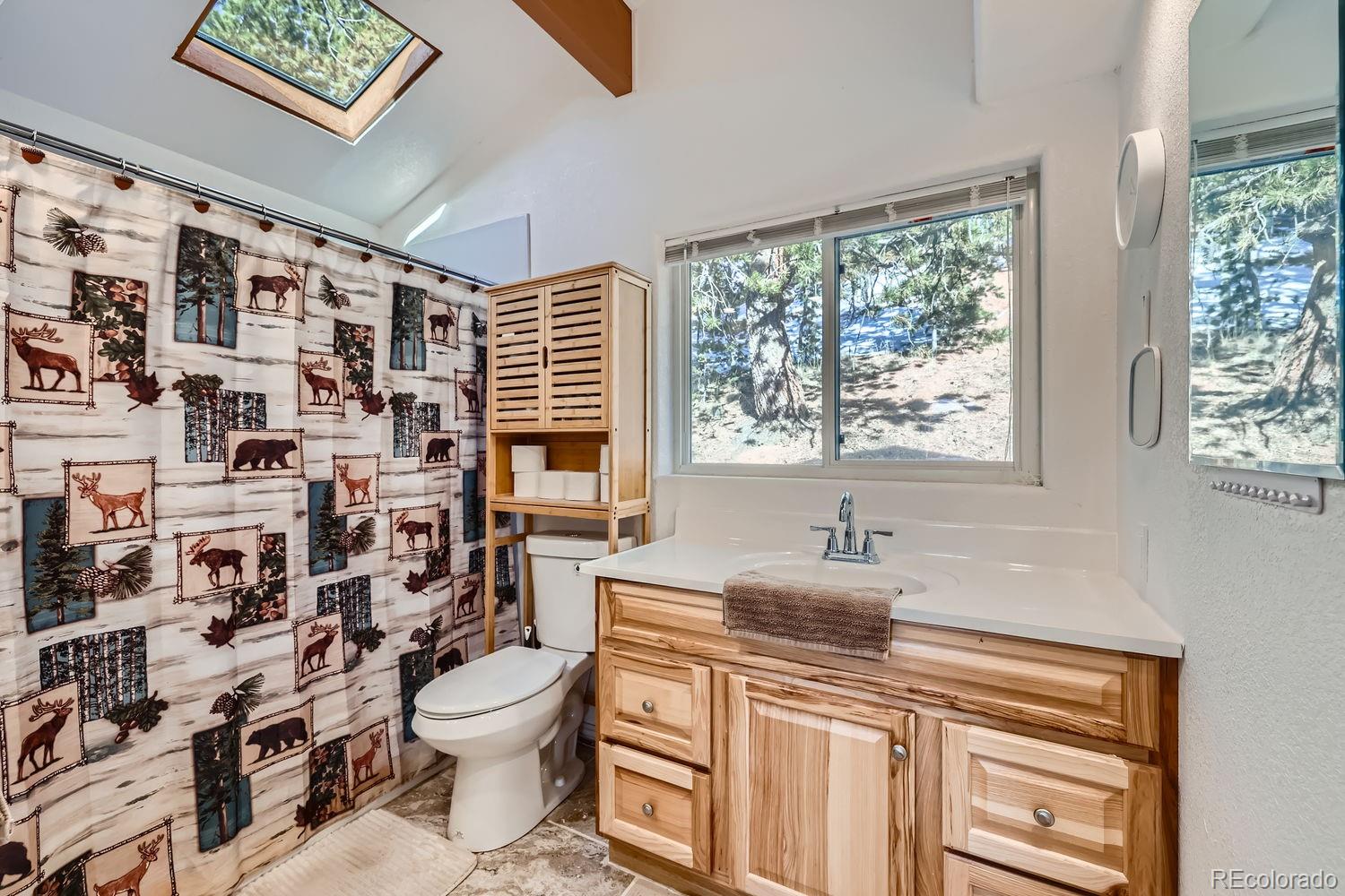 17618 Highway 67 Divide, CO 80814 - Photo 15 of 28