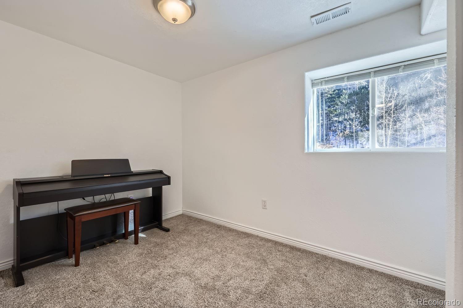 17618 Highway 67 Divide, CO 80814 - Photo 17 of 28