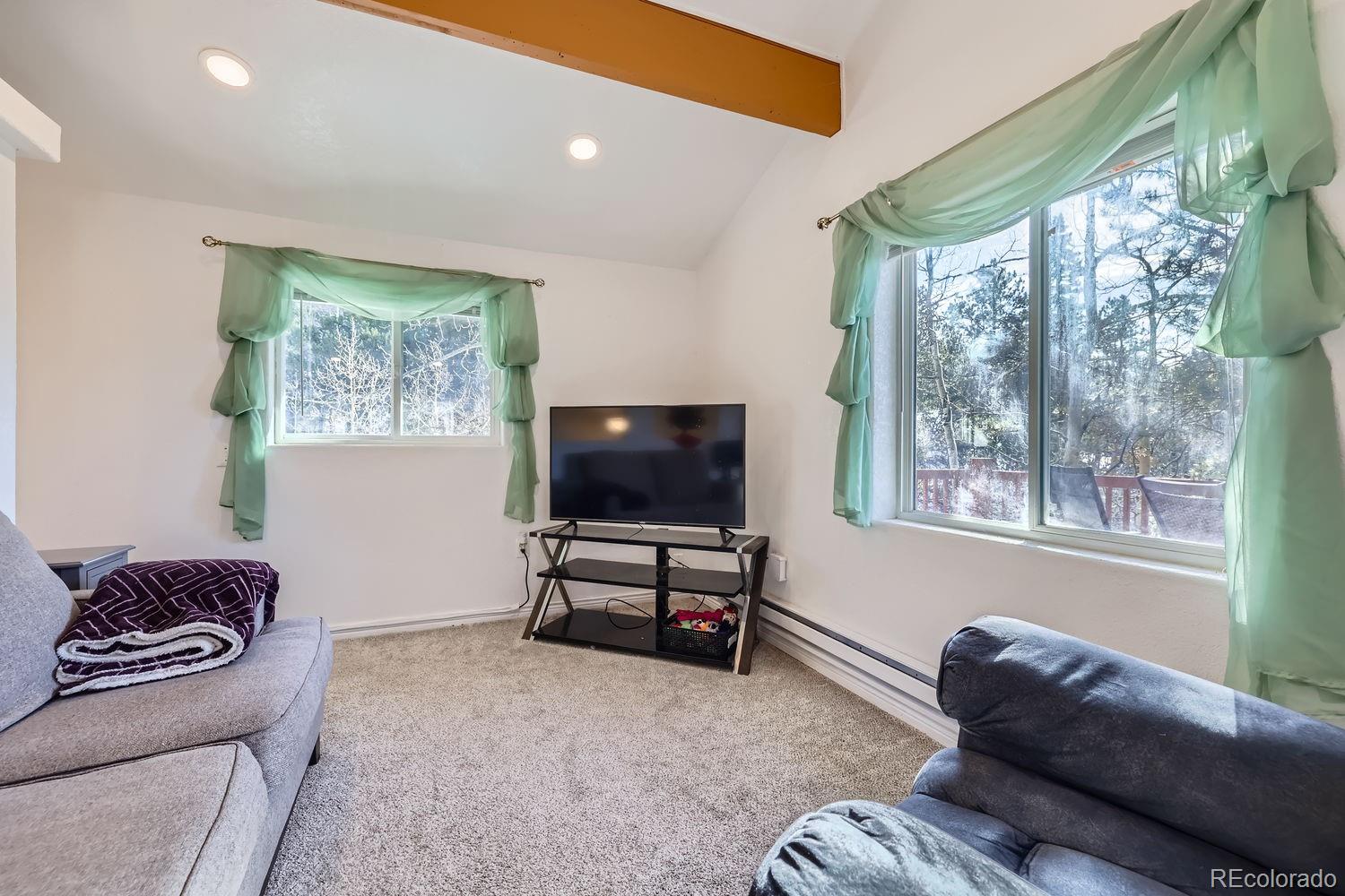 17618 Highway 67 Divide, CO 80814 - Photo 5 of 28