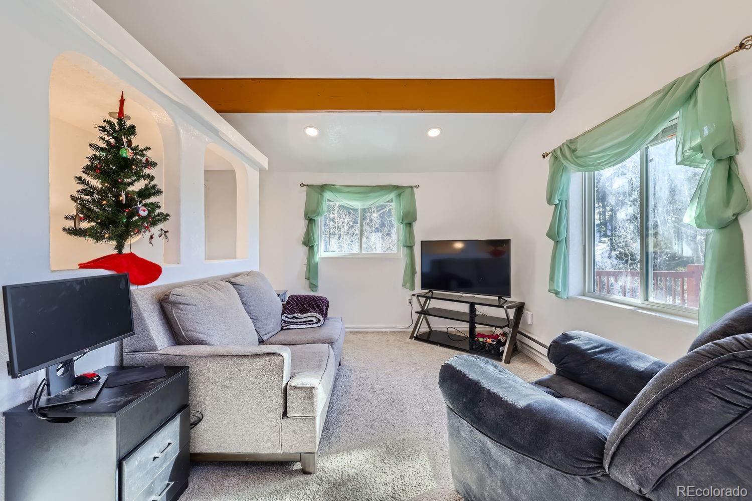 17618 Highway 67 Divide, CO 80814 - Photo 8 of 28