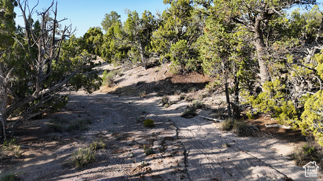 123 Tbd Prout Wash Road North Cedar City, UT 84721 - Photo 32 of 82