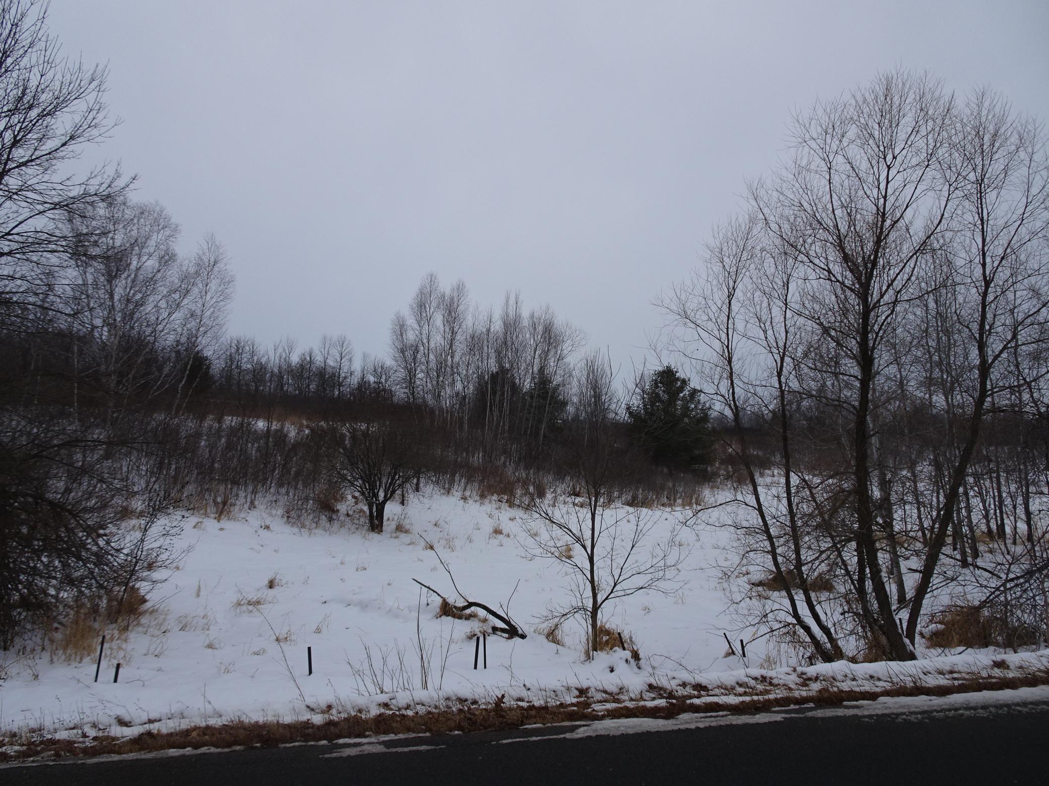 Xxx 170th Street Luck, WI 54853 - Photo 1 of 1 Gallery Image 1