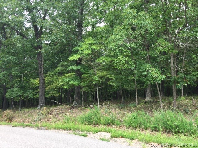 448 Pier Thirty One Road Camdenton, MO 65020 - Photo 2 of 15 .34 Acres