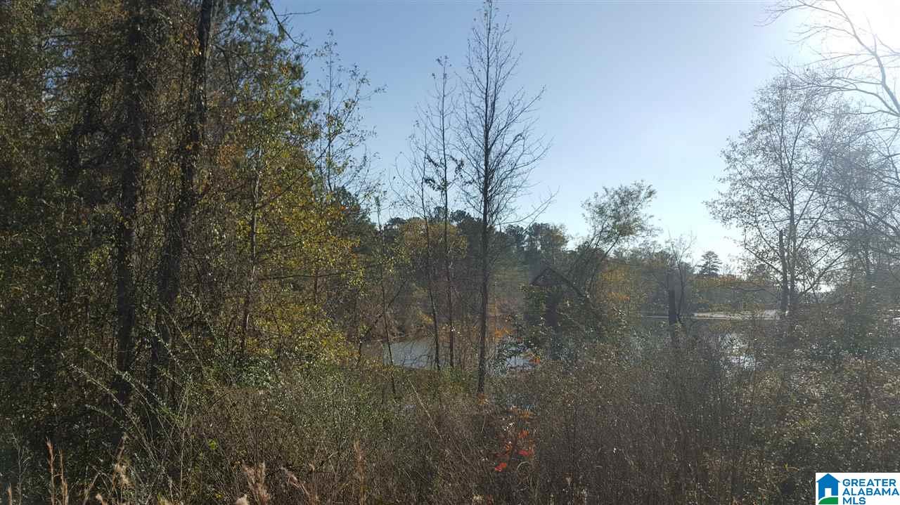0 Haven Circle, Unit 39 Riverside, AL 35135 - Photo 5 of 32
