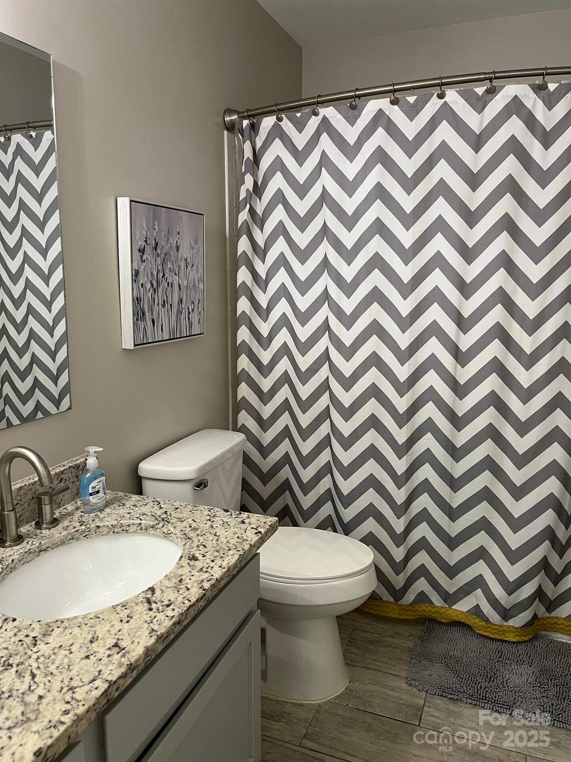 229 Windsor Point Road, Unit 6B Columbia, SC 29223 - Photo 2 of 15 a bathroom with a sink and a mirror