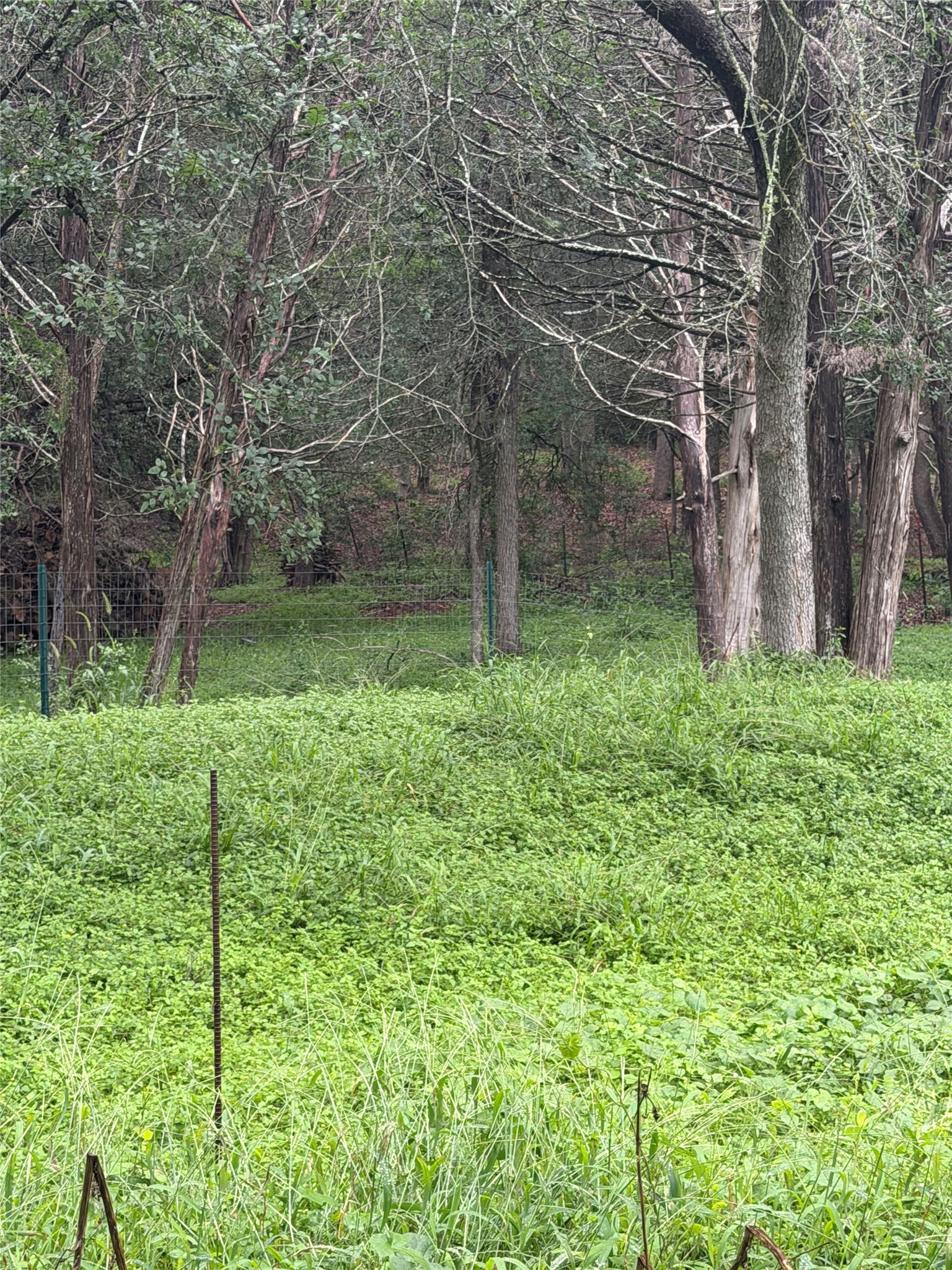 214 The Forest Road Dale, TX 78616 - Photo 15 of 18 A tranquil green expanse offers a verdant backdrop for serene living.