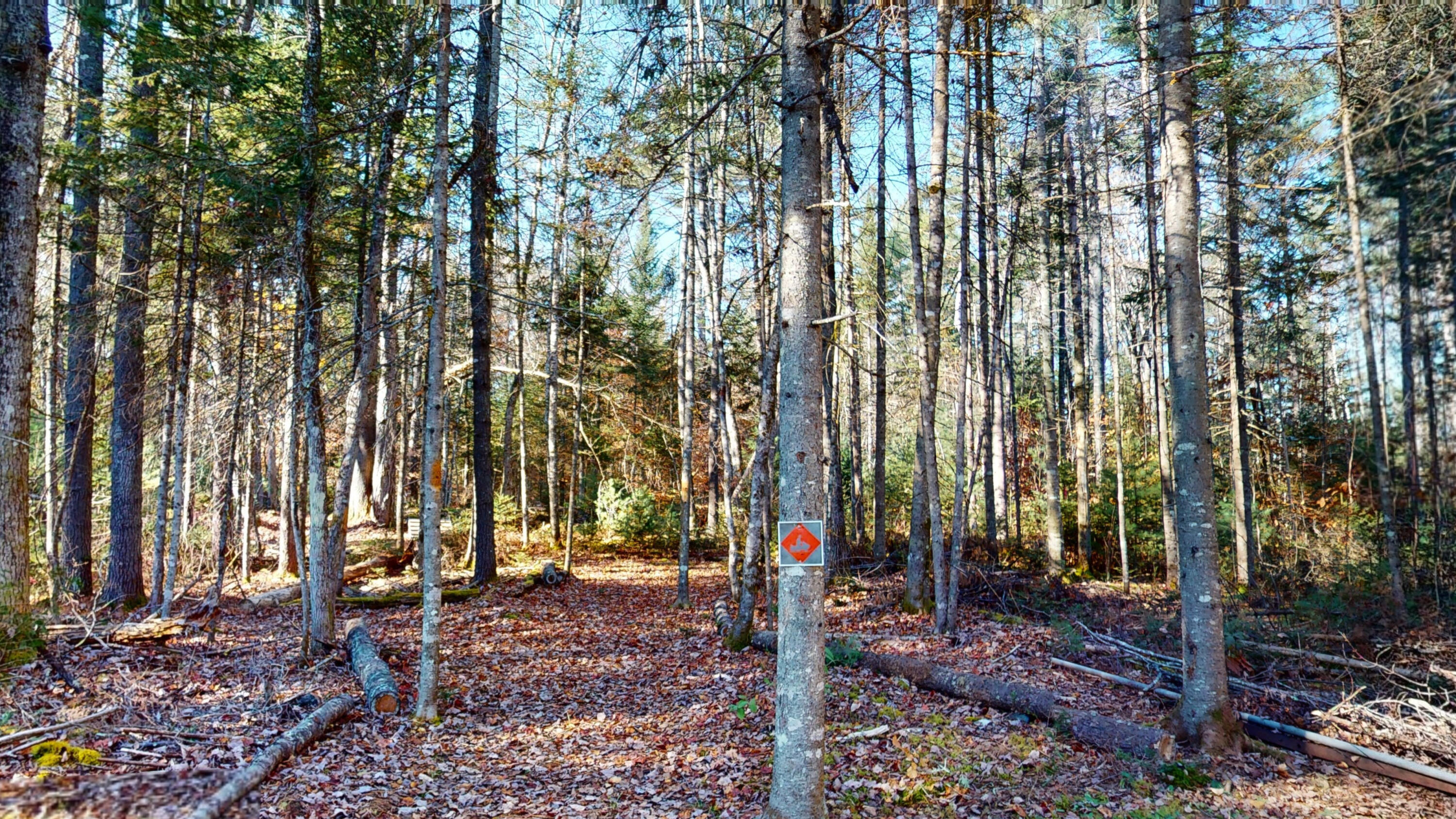 2297 Canaan Road Hartland, ME 04943 - Photo 50 of 65 Home-For-Sale-2297-Canaan-Rd-Hartland-ME