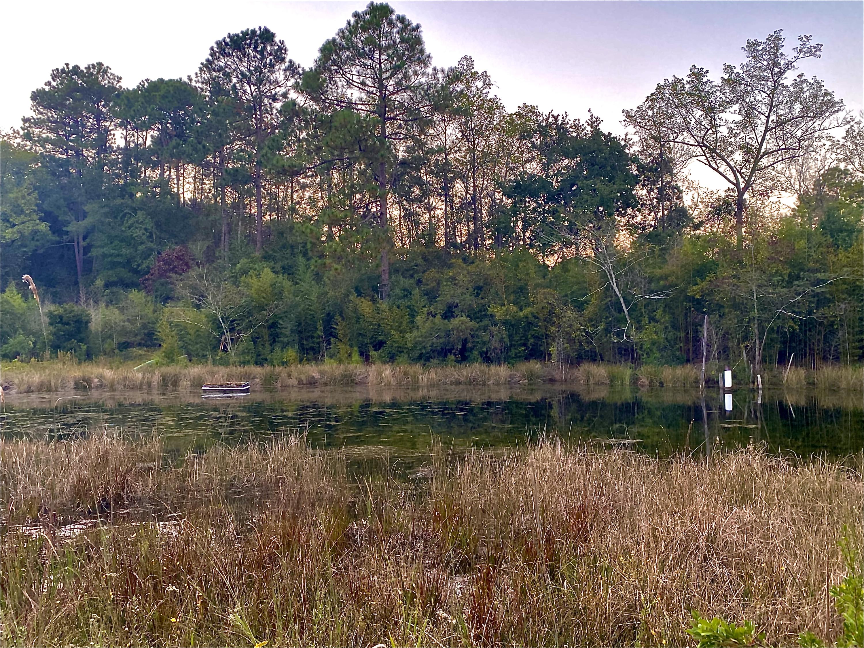 a view of lake with green space