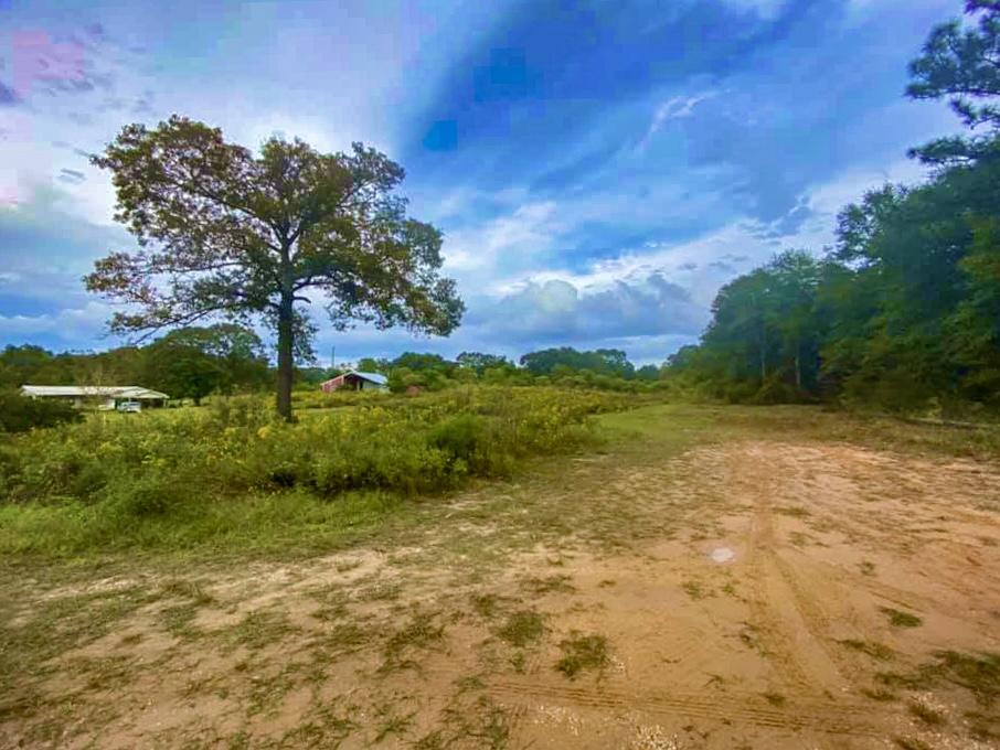 Xxx Sandy Ramp Road DeFuniak Springs, FL 32433 - Photo 4 of 15 a view of yard with green space