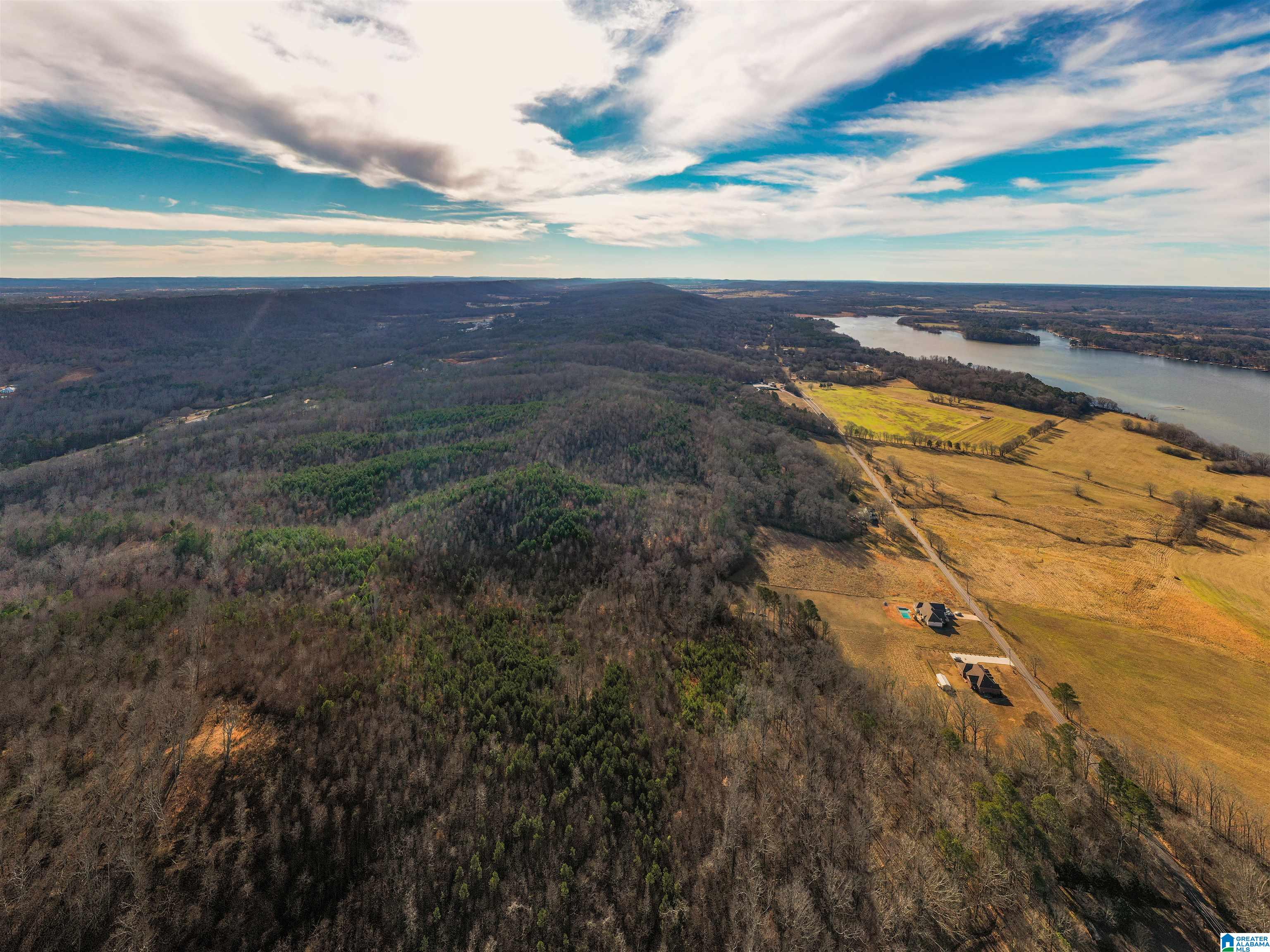 0 Browns Valley Road Guntersville, AL 35976 - Photo 26 of 39