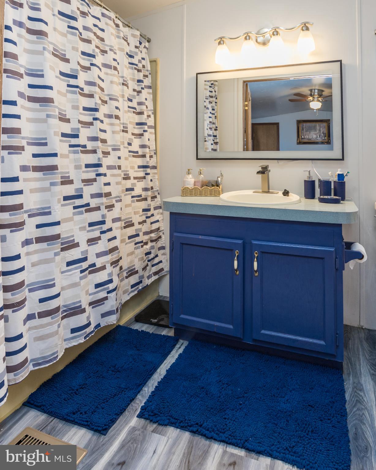 103 Herbert Court Bear, DE 19701 - Photo 19 of 33 a bathroom with a sink and a mirror