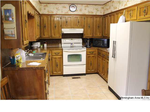 201 Blue Spring Trail Cropwell, AL 35054 - Photo 5 of 21