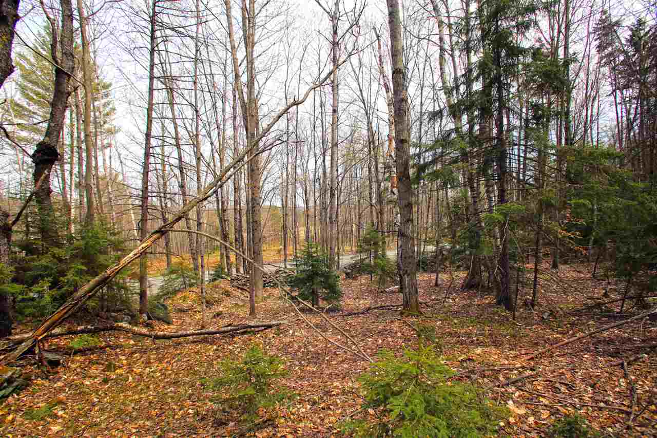 301 Clark Road Northfield, VT 05663 - Photo 22 of 40