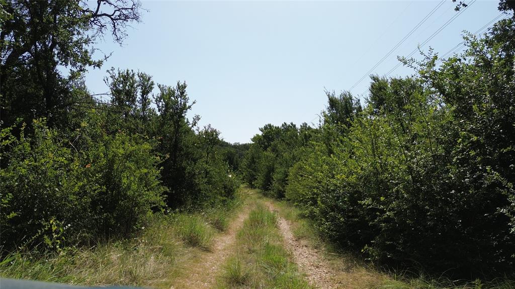 Tbd Nash Road Jacksboro, TX 76458 - Photo 20 of 28