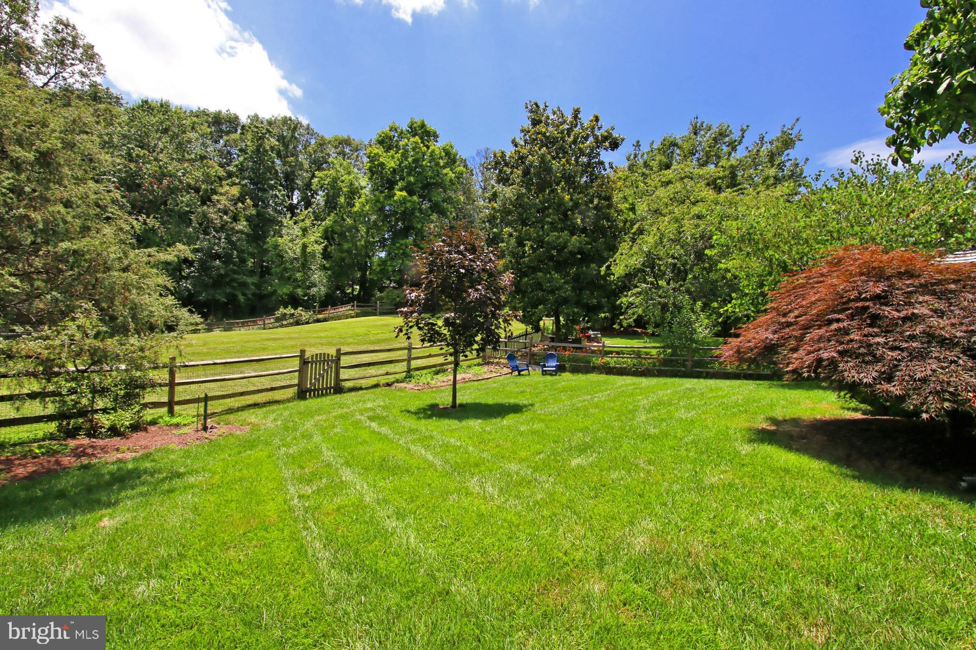 12569 Rock Ridge Road Herndon, VA 20170 - Photo 40 of 47 So Nice and Private