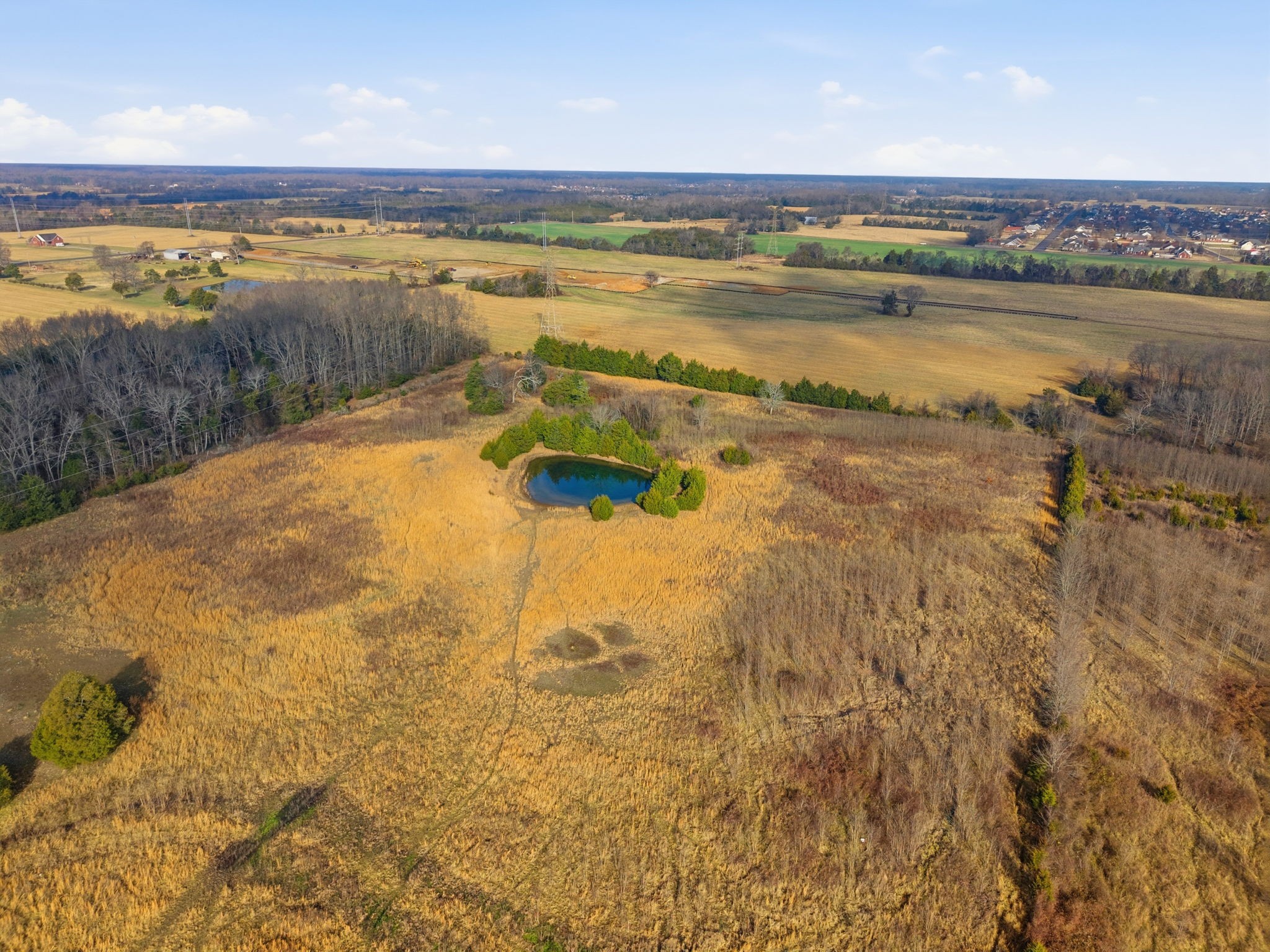 4689 Sledge Road Christiana, TN 37037 - Photo 18 of 32 a view of a lake view