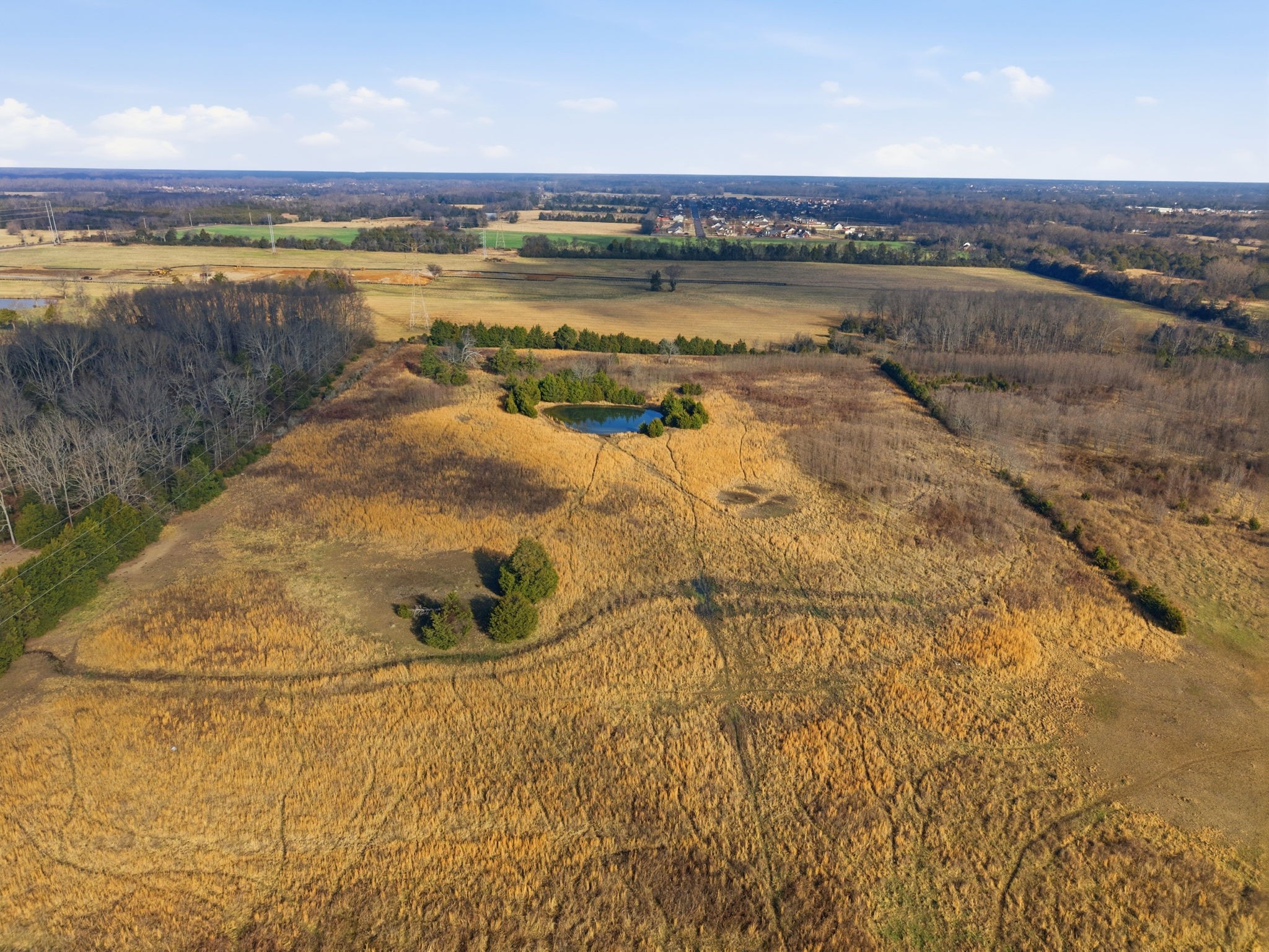4689 Sledge Road Christiana, TN 37037 - Photo 19 of 32 a view of a lake view