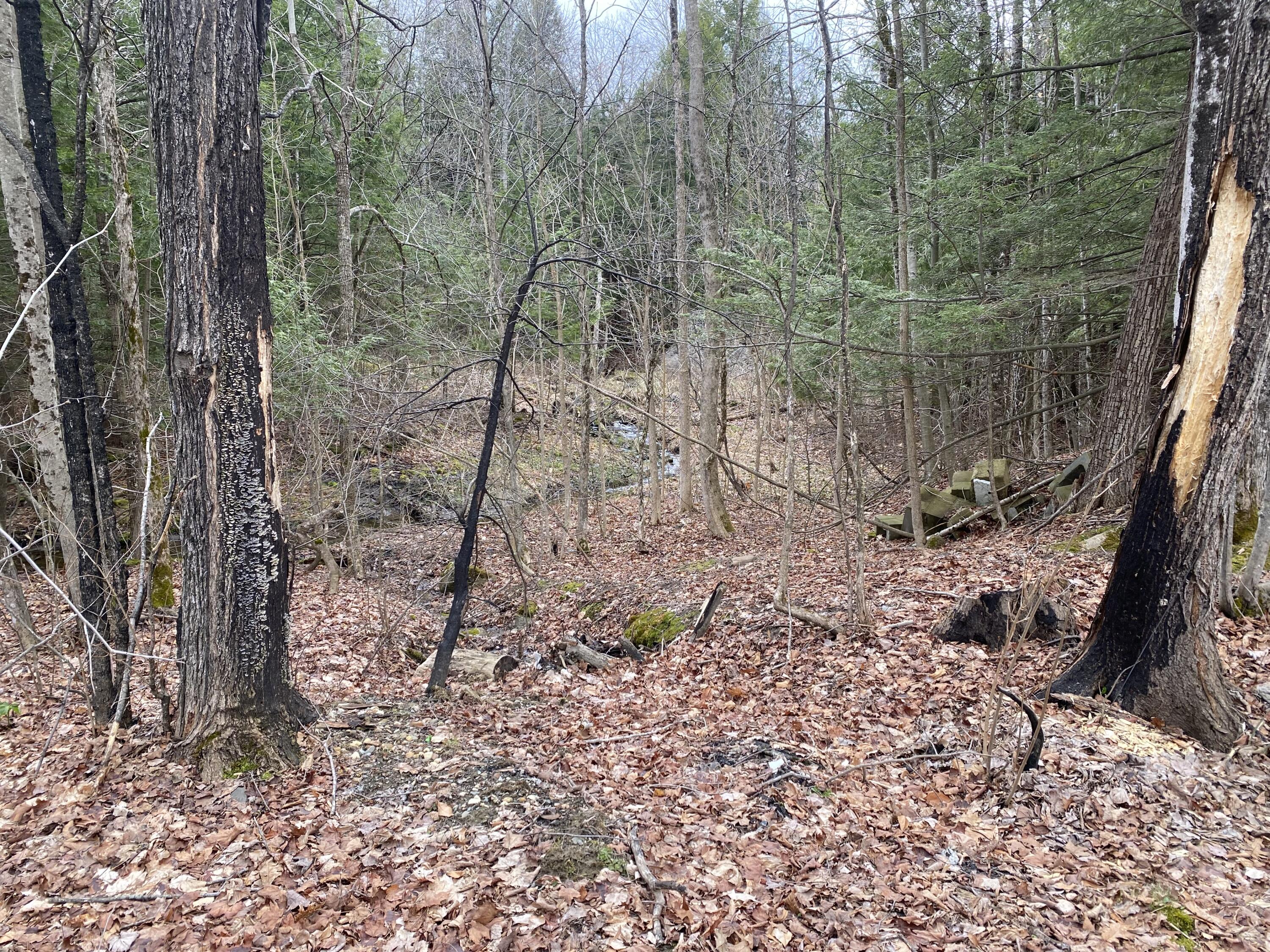 312 Ridge Road Fairfield, ME 04937 - Photo 24 of 26 25 Land