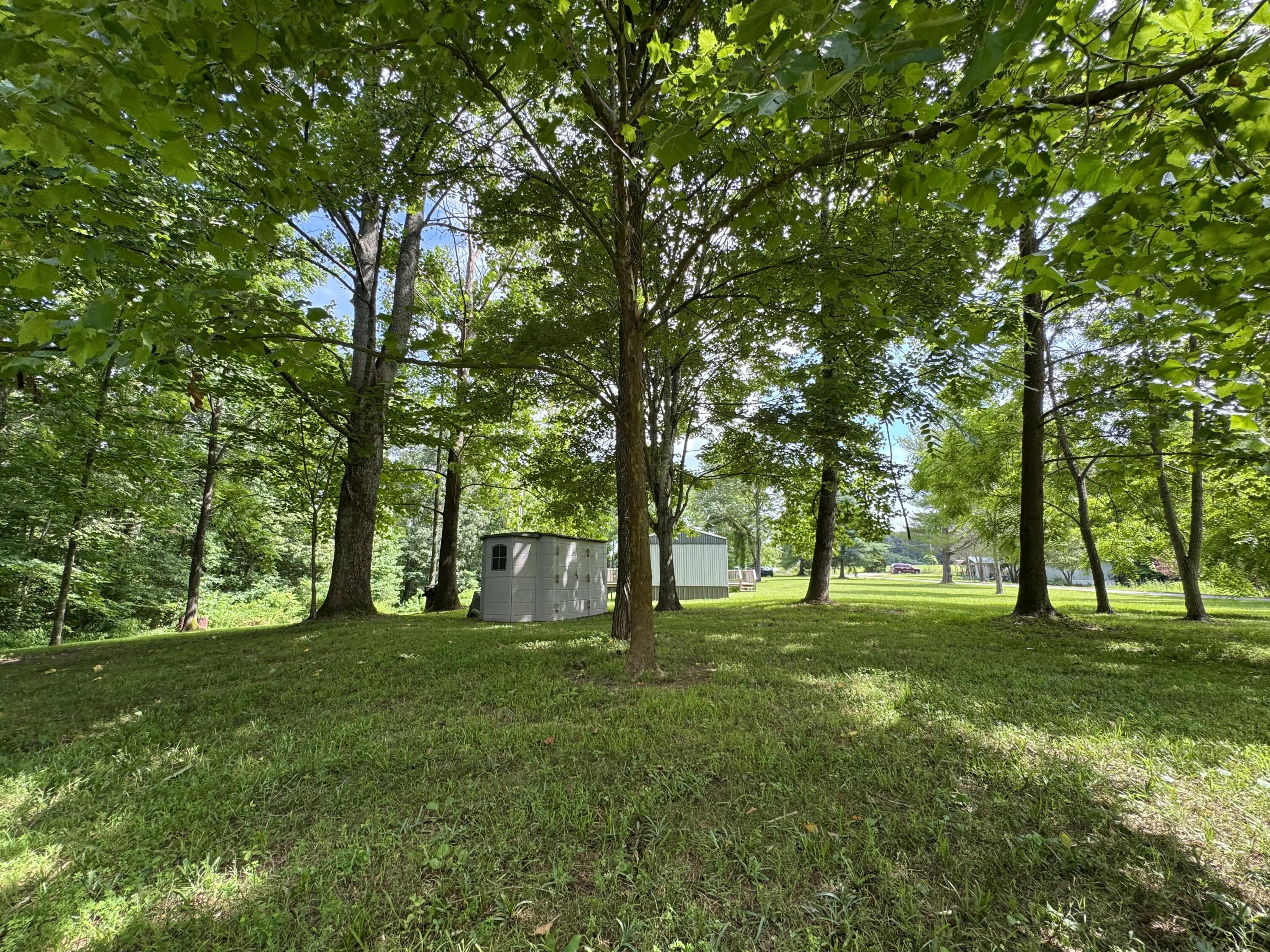 3280 Ewing Ridge Road Dunnville, KY 42528 - Photo 6 of 40 IMG_3982