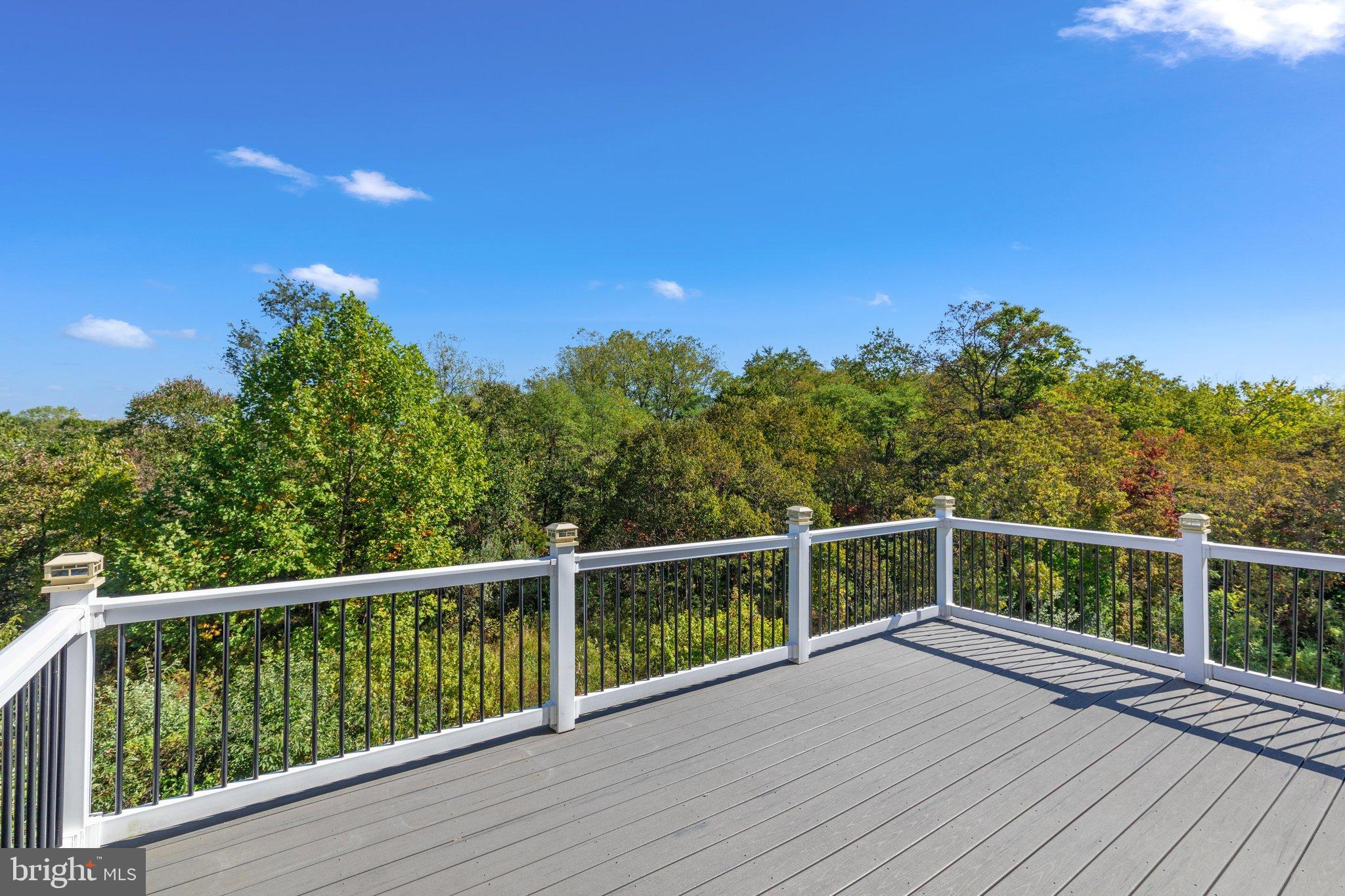 100 Splendor Garden Way Stephenson, VA 22656 - Photo 28 of 32 BY1A3577-ABSALT-SEPT2026 011