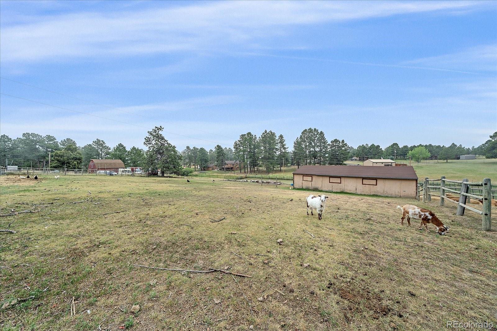5360 Pine Ridge Drive Elizabeth, CO 80107 - Photo 39 of 48