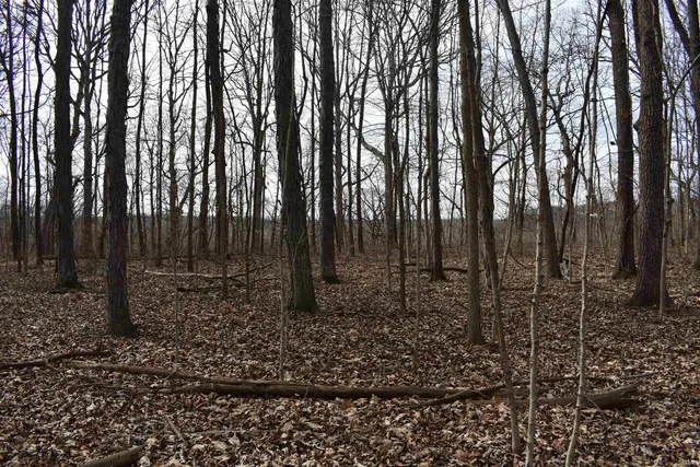 $238,000 | 2326 Stacey Hollow Place, Lafayette, IN 47905