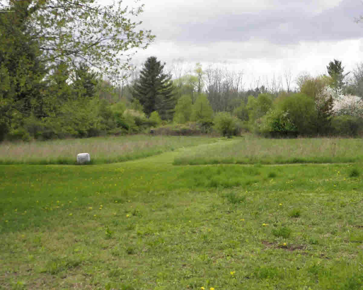 3173 North Linden Road Flint, MI 48504 - Photo 39 of 43 21290274-38.JPG