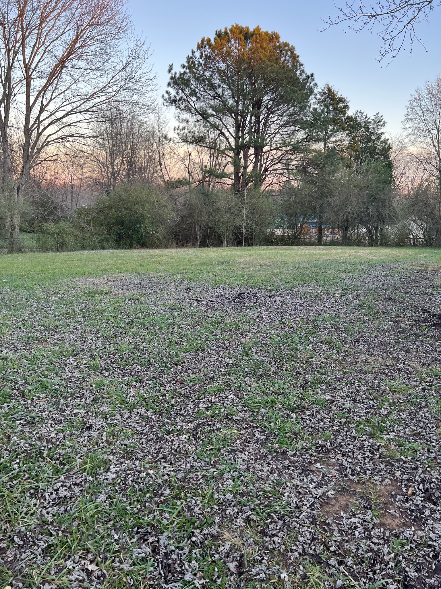 1116 Allen Road Burns, TN 37029 - Photo 2 of 2 Gallery Image 2