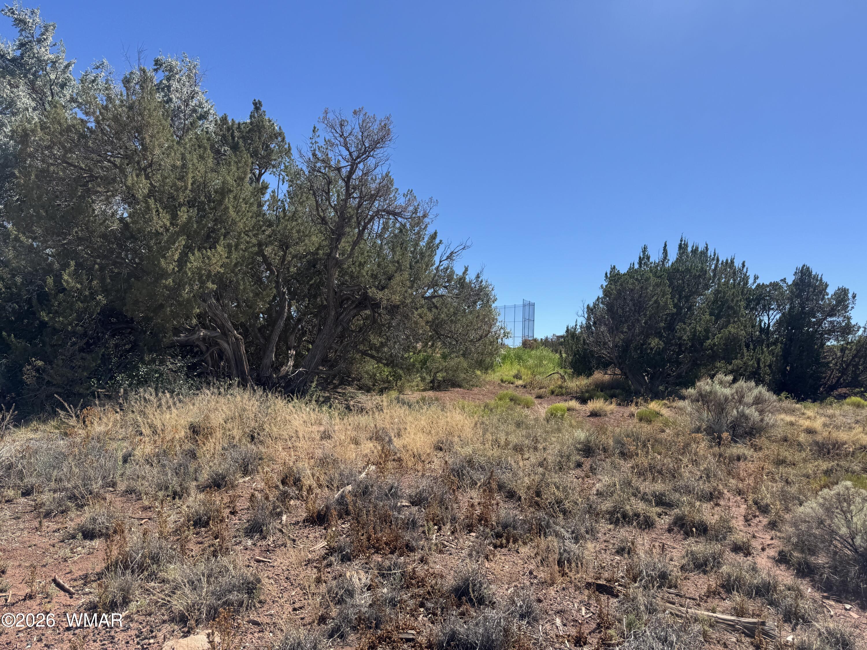 W Sand Trap Lane Snowflake, AZ 85937 - Photo 5 of 11 a view of a yard with a tree