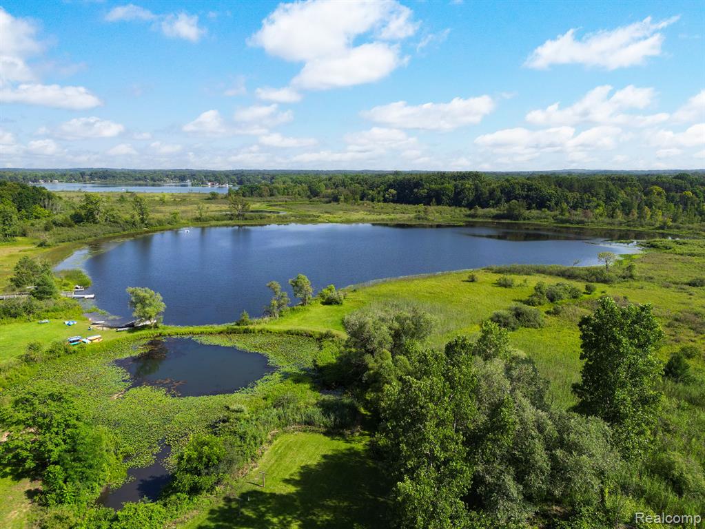 3450-hooker East Whitewood Road Pinckney, MI 48169 - Photo 7 of 29