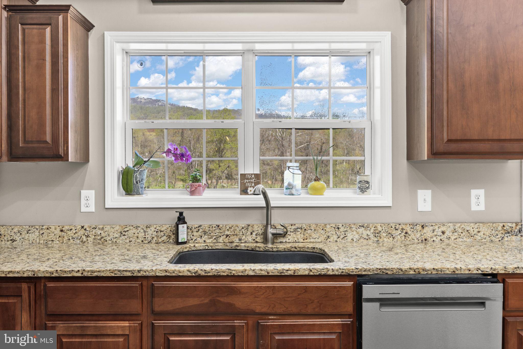 3063 Etlan Road Etlan, VA 22719 - Photo 12 of 49 Kitchen Views of Old Rag