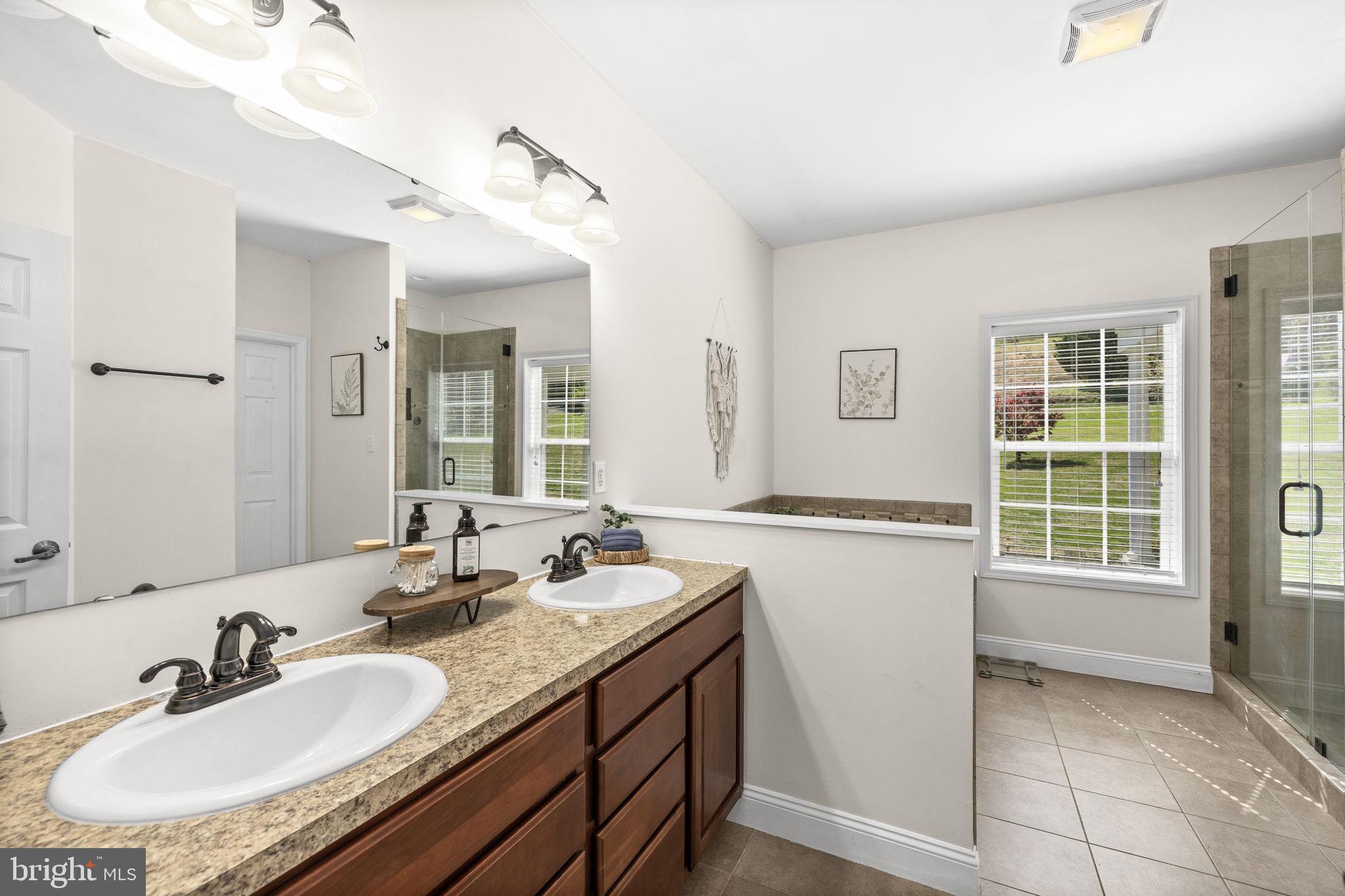 3063 Etlan Road Etlan, VA 22719 - Photo 17 of 49 Primary Bathroom with Walk in Closet