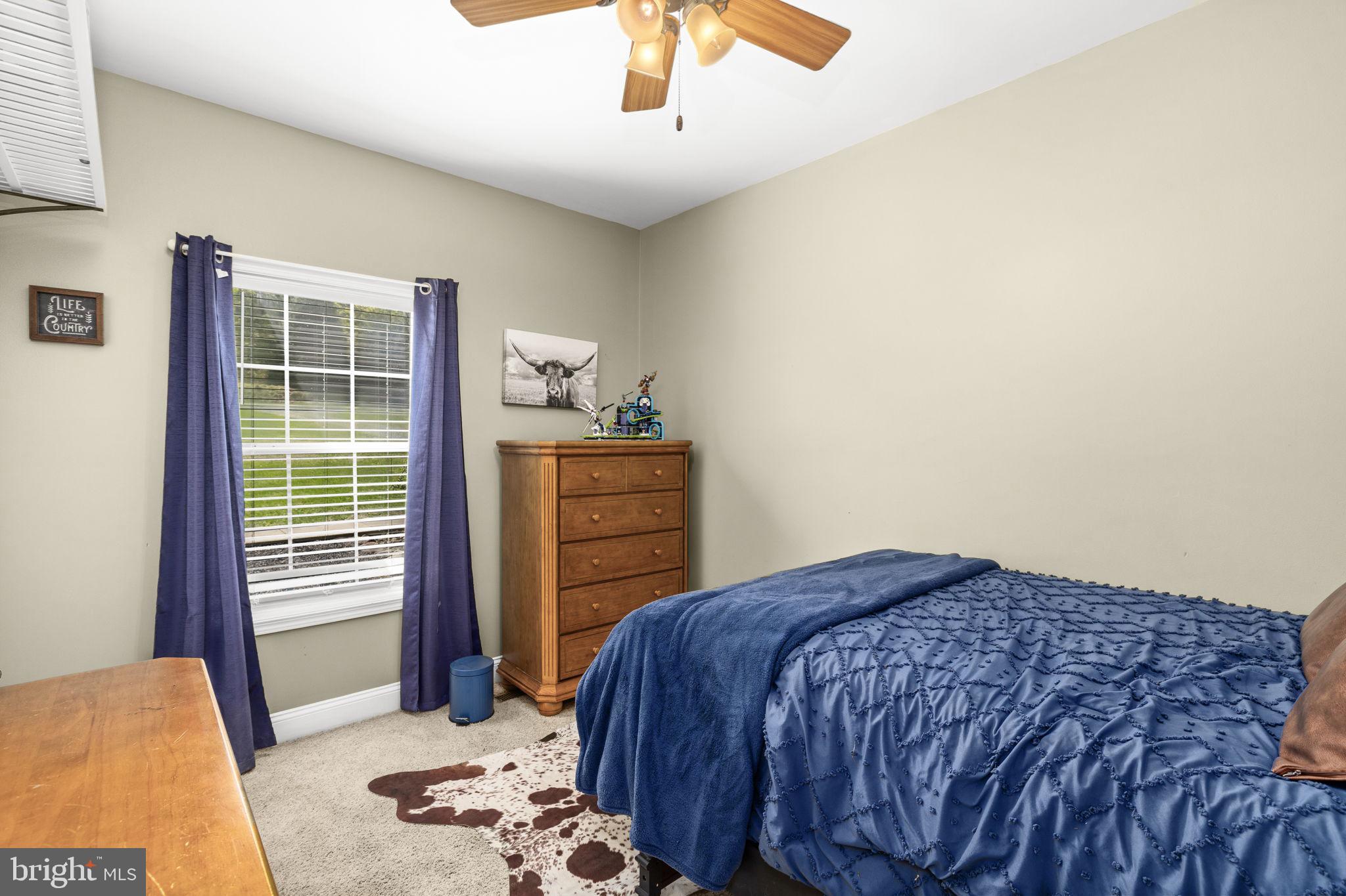 3063 Etlan Road Etlan, VA 22719 - Photo 20 of 49 Bedroom #2 on Main Level