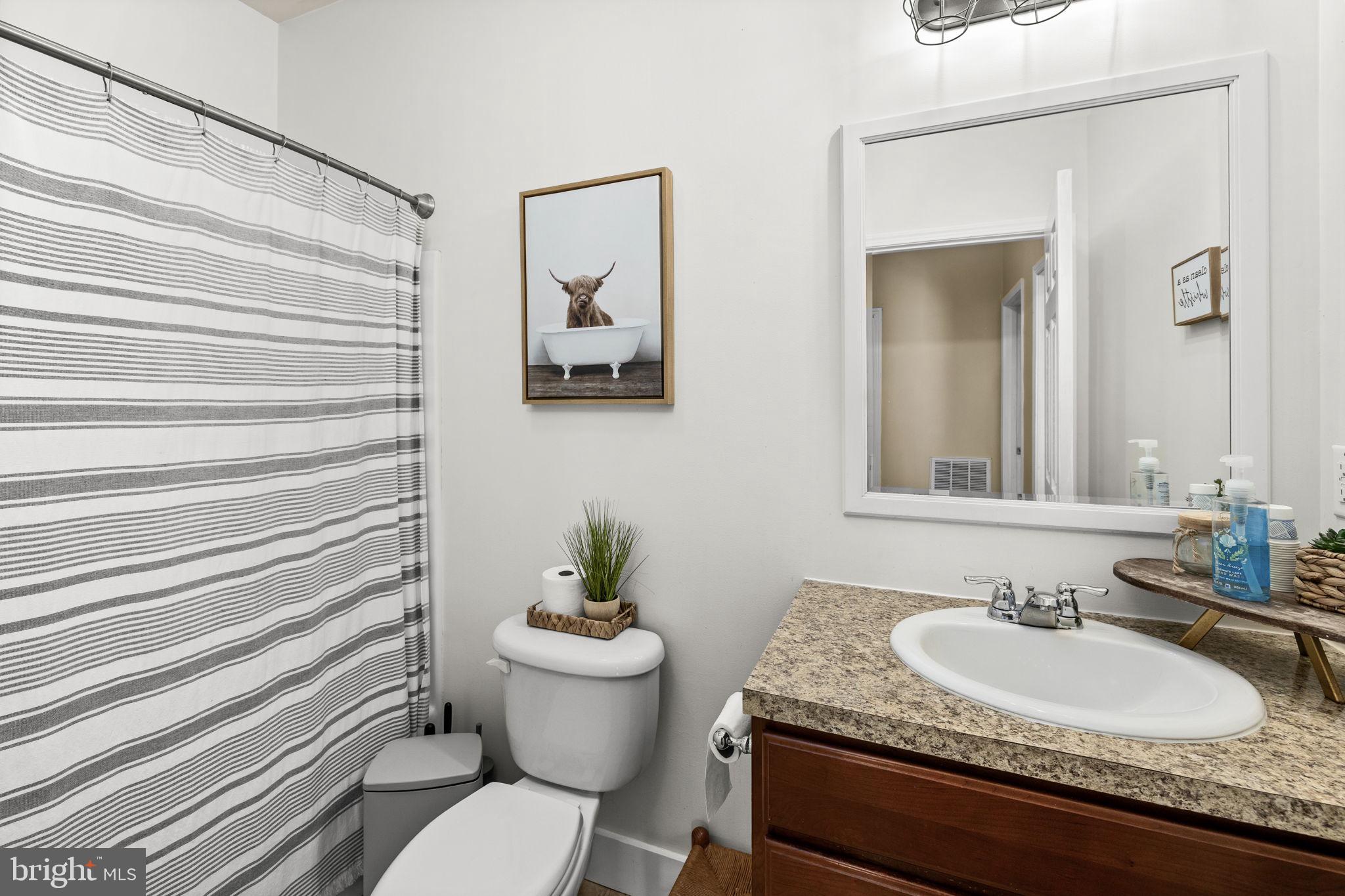 3063 Etlan Road Etlan, VA 22719 - Photo 24 of 49 Full Bathroom on Main Level
