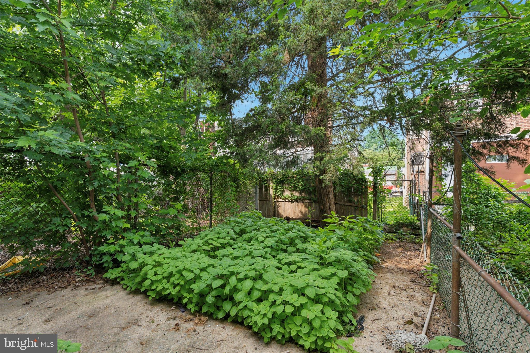 2088 Bridge Street Philadelphia, PA 19124 - Photo 10 of 10