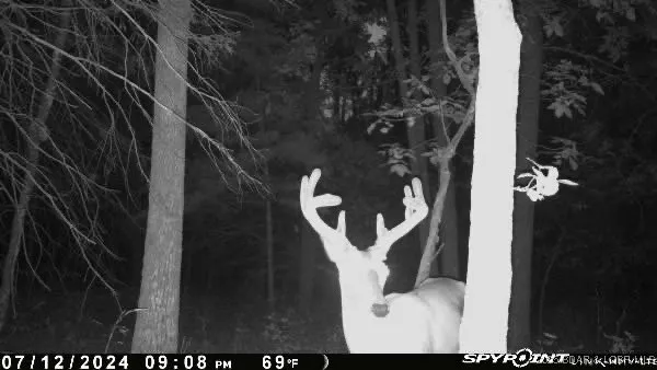 $798,150 | 159.63-acres 159.63-acres Highway, Versailles, MO 65084