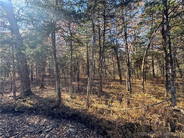 $798,150 | 159.63-acres 159.63-acres Highway, Versailles, MO 65084